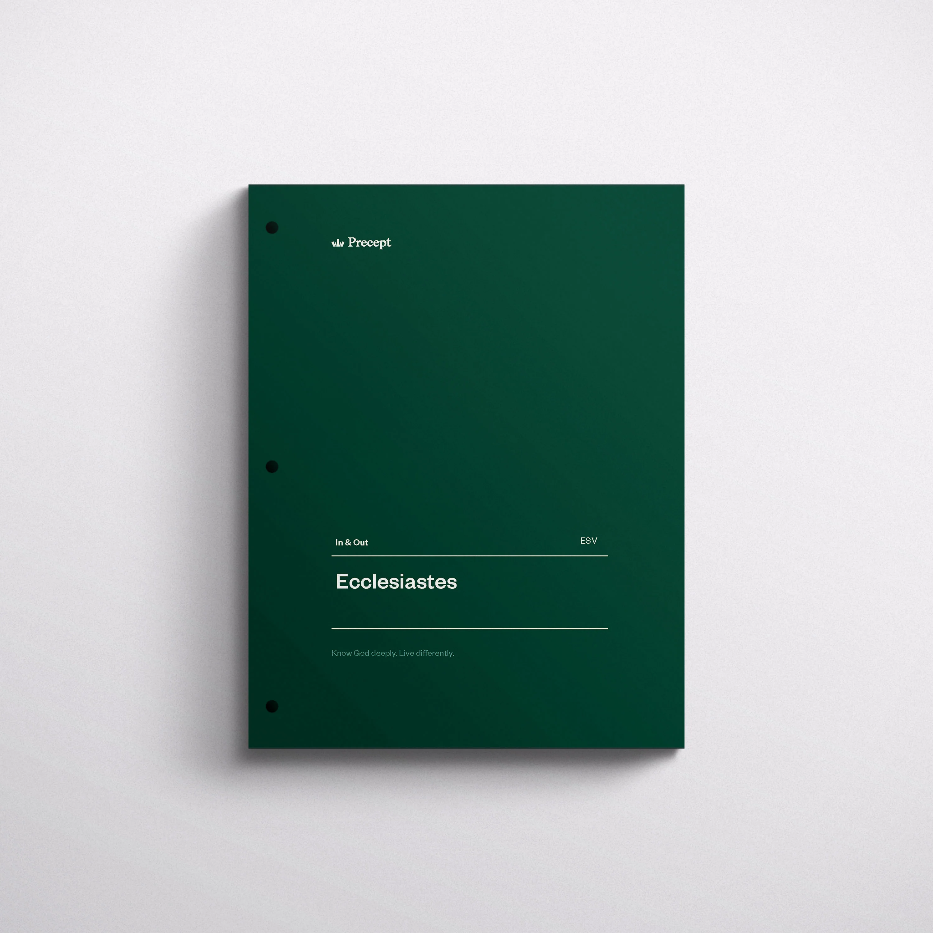 Ecclesiastes Bible Study - Image 4