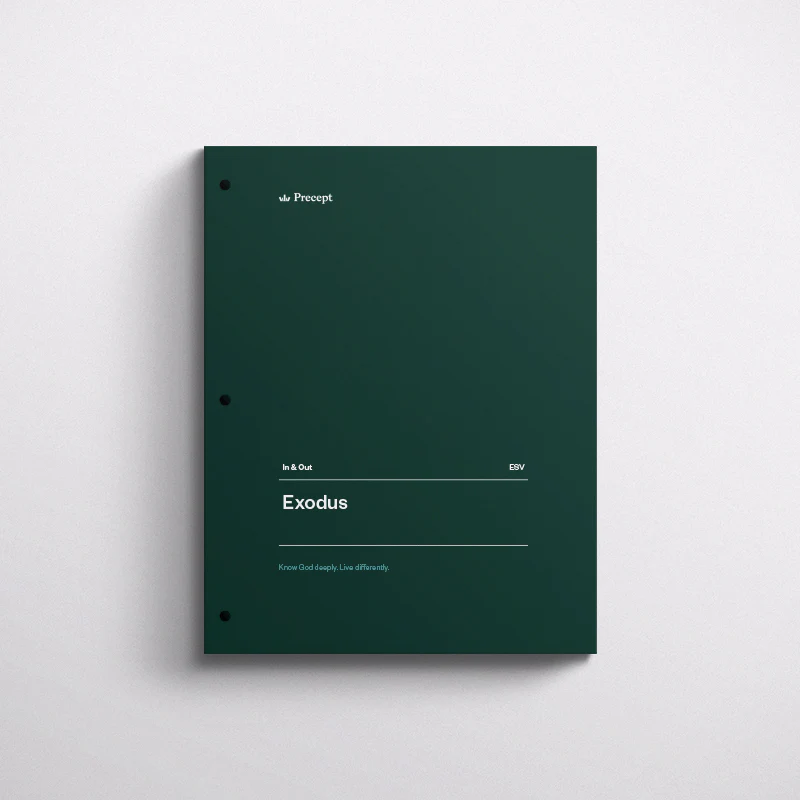 Exodus Bible Study - Image 4