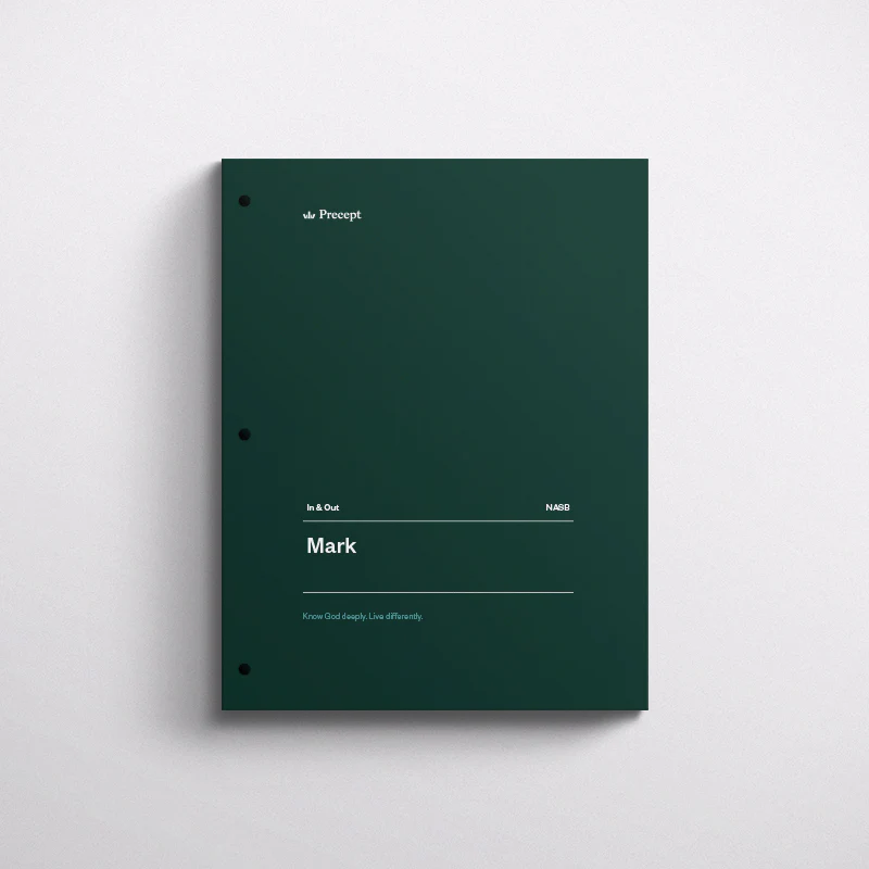 Mark Bible Study - Image 3