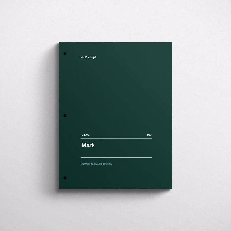 Mark Bible Study - Image 4