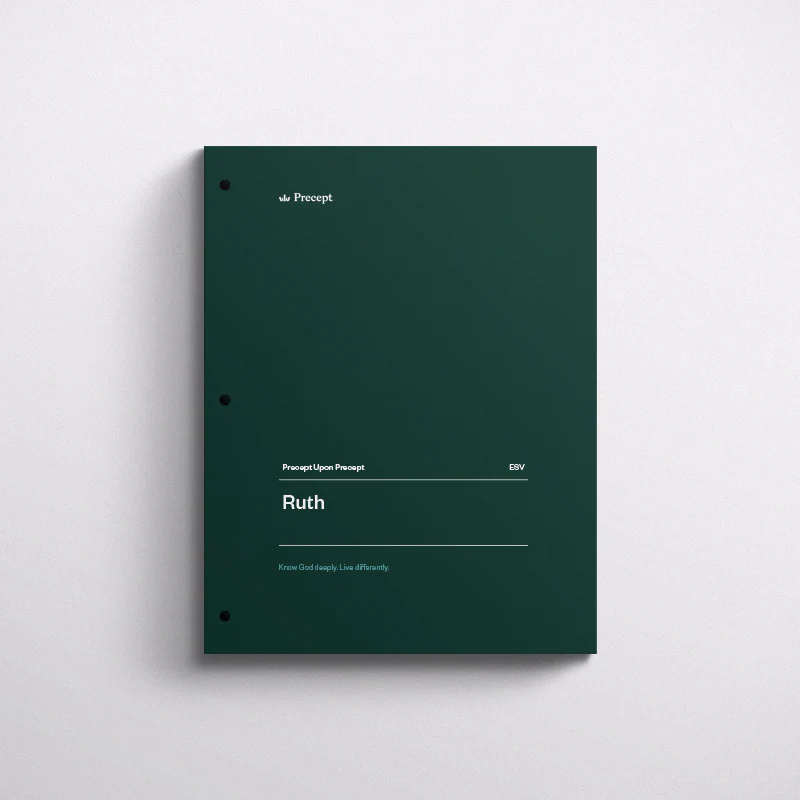Ruth Bible Study - Image 2