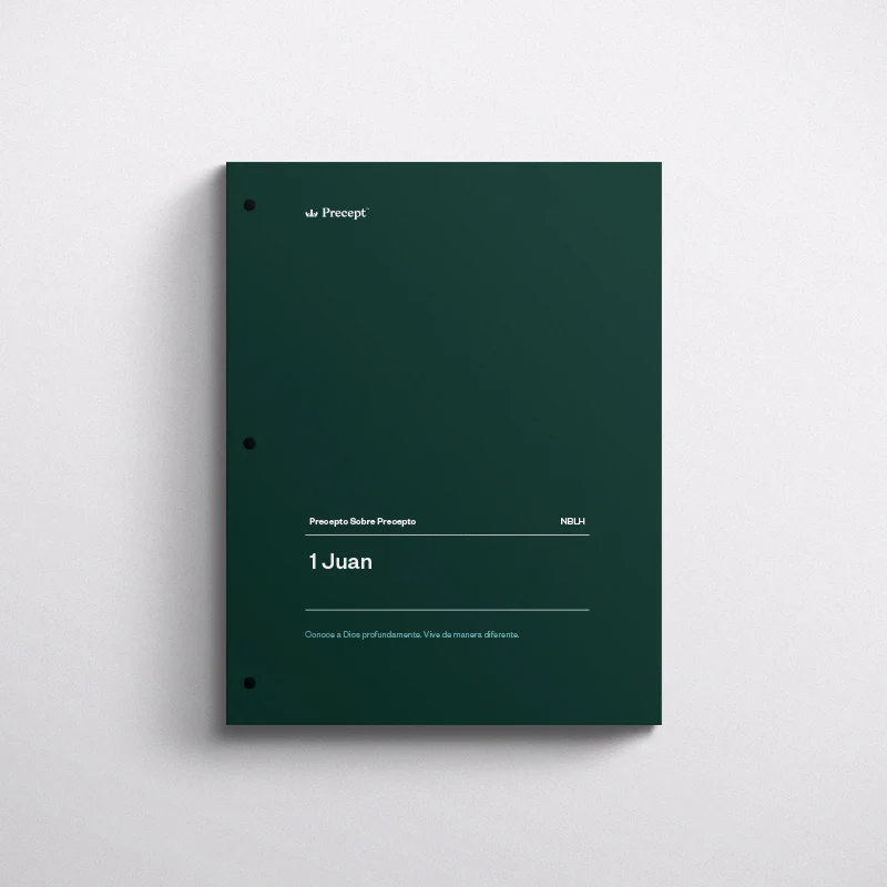 SPANISH-1 JOHN AND 2 & 3 JOHN-PRECEPT WORKBOOK