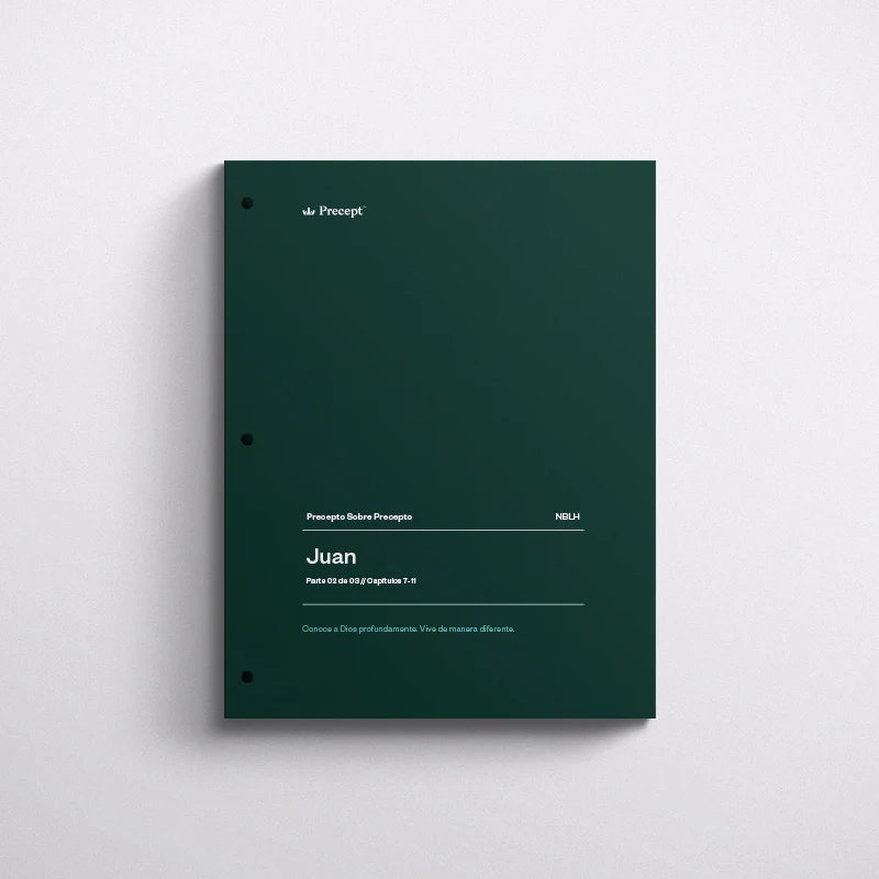 SPANISH-JOHN PART 2-PUP WORKBOOK