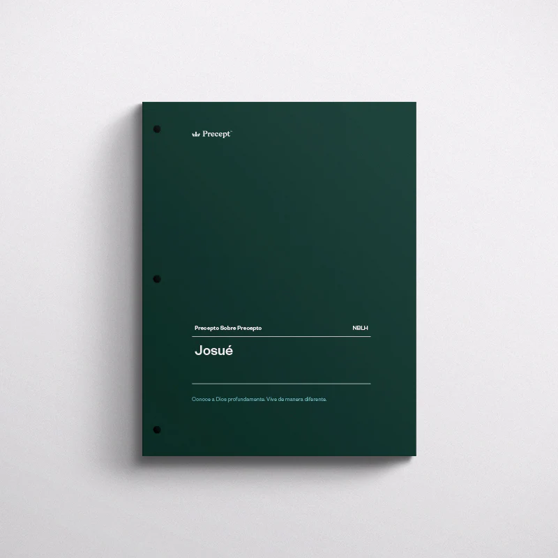 SPANISH-JOSHUA-PRECEPT WORKBOOK