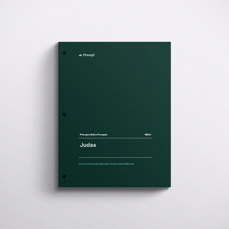 SPANISH-JUDE-PRECEPT WORKBOOK