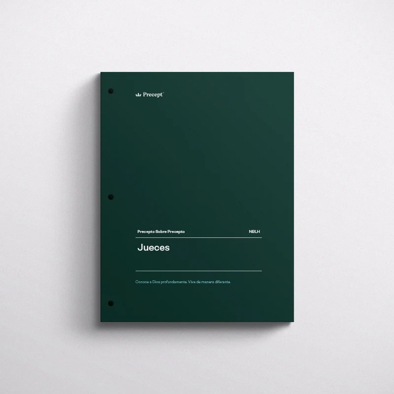 SPANISH-JUDGES-PRECEPT WORKBOOK