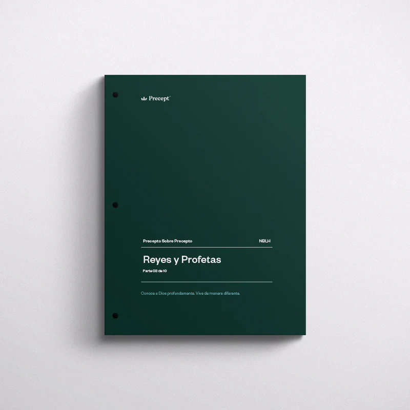 SPANISH-PASSING THE MANTLE-PRECEPT WORKBOOK